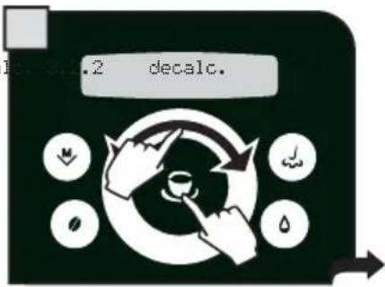 GAGGIA Platinum Swing - ATTENZIONE! NON UTILIZZARE IN NESSUN CASO L'ACETO COME DECALCIFICANTE. - 2