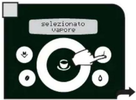 selezionato Vapore