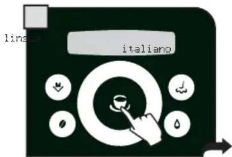 linsua italiano