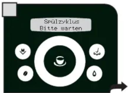 Spülzyklus Bitte warten