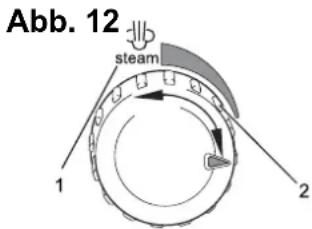 Abb. 12 steam 1 2
