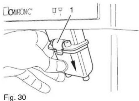 ChironC 1 Fig. 30