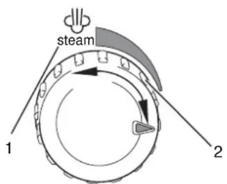 steam 1 2