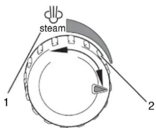 steam 1 2