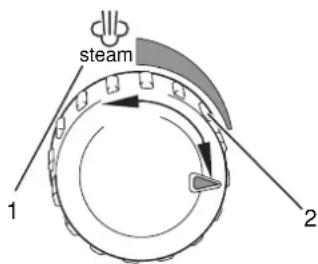 steam 1 2