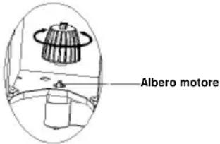 Albero motore