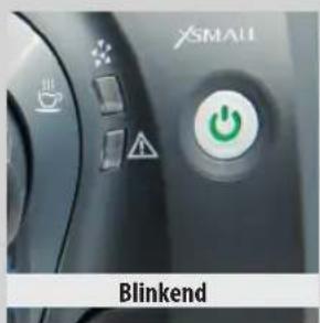 XSMALL Blinkend