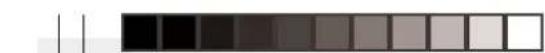 OREGON SCIENTIFIC RMR939P - INHALT - 2