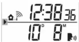 12:30 36 10 D 8 M