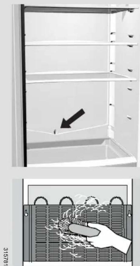 GORENJE RB60299O - Reinigung des Geräts - 1