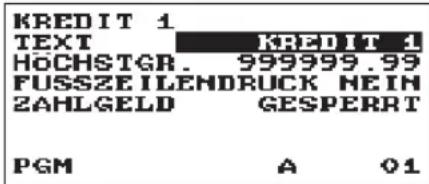 KREDIT 1 TEXT KREDIT 1 HOCHSTGR. 999999.99 FUSSZEILENDRUCK NEIN ZAHLGELD GESPERRT PGM A 01