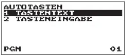 AUTOTASTEN 1 TASTENTEXT 2 TASTENEINGABE PGM 01