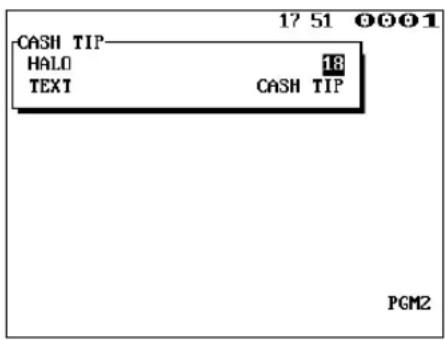 CASH TIP HALO TEXT 18 CASH TIP PGM2