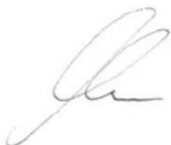 Handwritten signature or scribble in cursive script