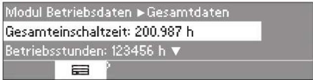MIELE PW 6207 - Gesamtdaten - 2