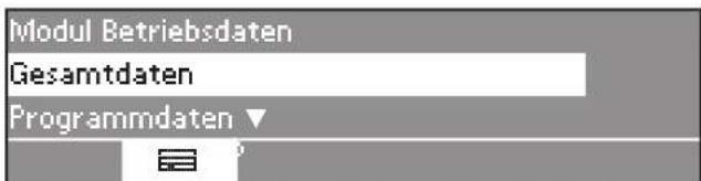 MIELE PW 6207 - Betriebsdaten - 2