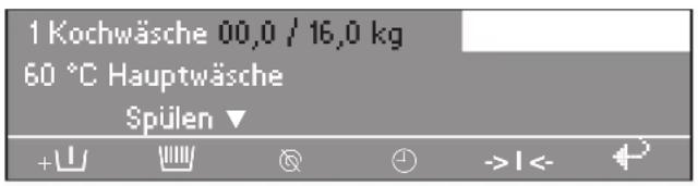 MIELE PW 6207 - Wiegesystem - 1