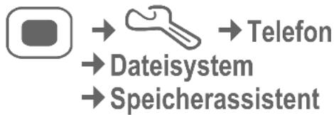 BENQ-SIEMENS SL91 - Speicherassistent - 1