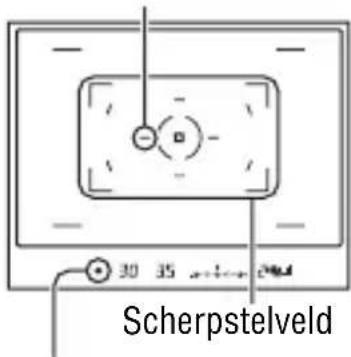 Scherpstelveld