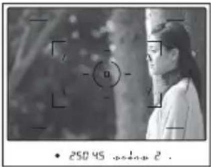 250 45 .+1.0 -2 .