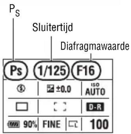 Ps Sluitertijd Diafragmawaarde Ps 1/125 F16 ±0.0 ISO AUTO D-R 90% FINE 100
