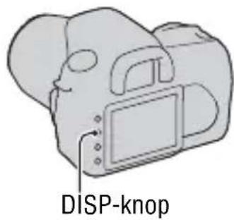DISP-knop