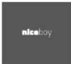 Niceboy SoundGo - 2