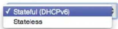 Verizon FiOS Quantum Gateway FiOS-G1100 - Specify the method to be used to assign LAN IPv6 addresses - 1