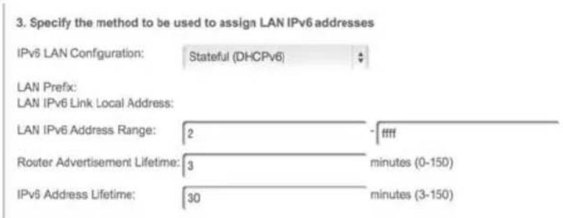 Verizon FiOS Quantum Gateway FiOS-G1100 - DHCPv6 WAN WITH LAN IPv6 STATEFUL (DHCPv6) SETTINGS: - 1