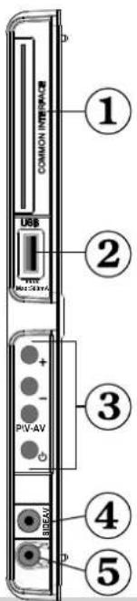 COMMON INTERFACE USB P/V-64V + - PV-AV - BRAV 1 2 3 4 5