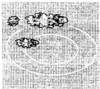 JUNO JEC 260 - Rahmen des Kochfeldes - 1