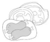 TECO TFF536WNMA - PLACEMENT OF FOOD - 2