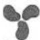 GAGGENAU EE 148 114 - Heißluft - 1