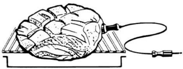 Küppersbusch EEHM 690 - Sicherheitshinweise für das Bratenthermometer - 2