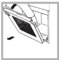 Ariston Thermo F 87 P.1 IX - De ovendeur reinigen - 3