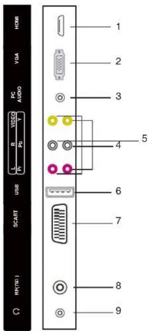 TechnoStar TF-L16B DVB-T - Anschlüsse (Geräterückseite) - 1