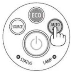ECO SOURCE AUTO STATUS LAMP