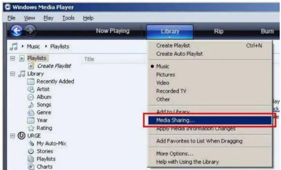 Muvid IR 715-2 - Medienteilung mit Windows Media Player - 1