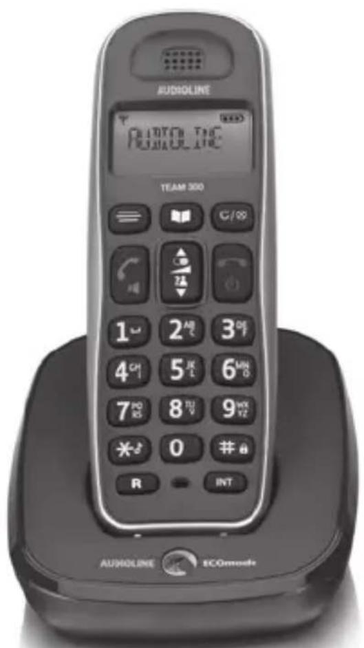 AUDIOLINE Team 303 - Schnurloses DECT-/GAP-Telefon Cordless DECT/GAP telephone - 1