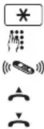AUDIOLINE Splash 18x - Display Description - 1