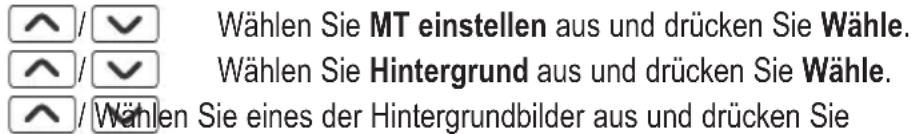 AUDIOLINE Polo 883 - Displayhintergrund einstellen - 1