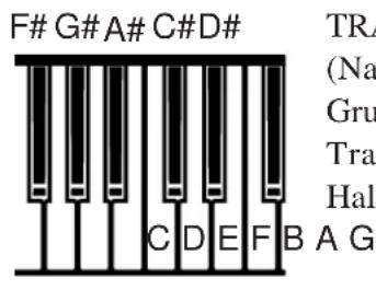 KAWAI L1 - Transponieren - 2