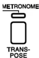 KAWAI L1 - Transponieren - 1