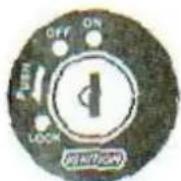 Saro Tourer Grand Europan 250 - A ) Mit Elektro-Starter (Normaler Start) - 1