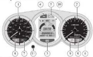 PEUGEOT Satelis 2 300i - INSTRUMENTE - 1