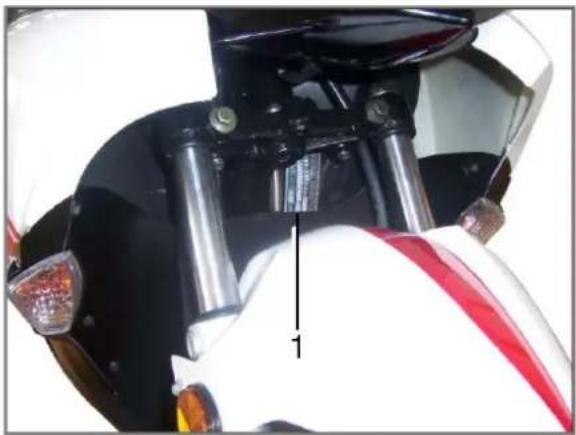 Saro Revonec GTX - Motor- und Fahrgestellnummer - 1