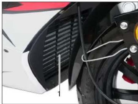 SFM Speedjet RS (2011) - Kühlereinlaß - 1