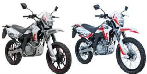 SFM ZZ 125 (2013) - 2