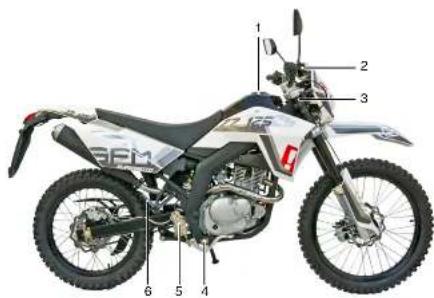 SFM ZZ 125 (2013) - Fahrzeugansicht ZX rechts - 1