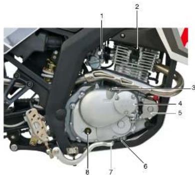 SFM ZX 125 (2013) - Motoransicht rechts - 1